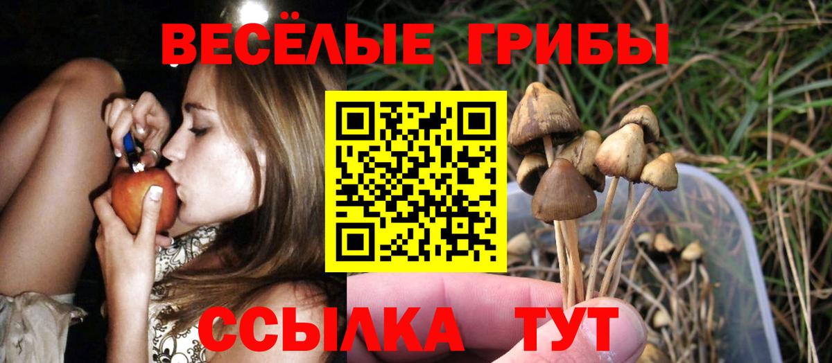 Псилоцибиновые грибы ЛСД  Вход с VPN  Красноуфимск 